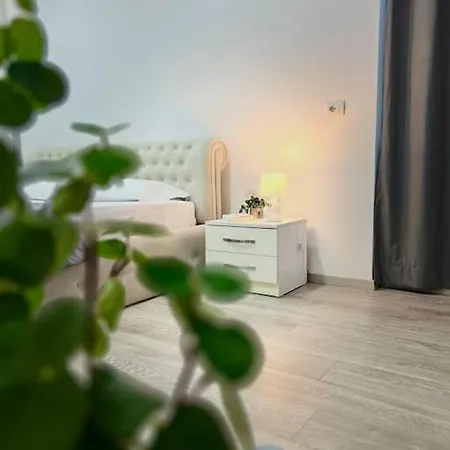 Apartment Rizz